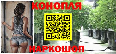 прущая мука Лесосибирск