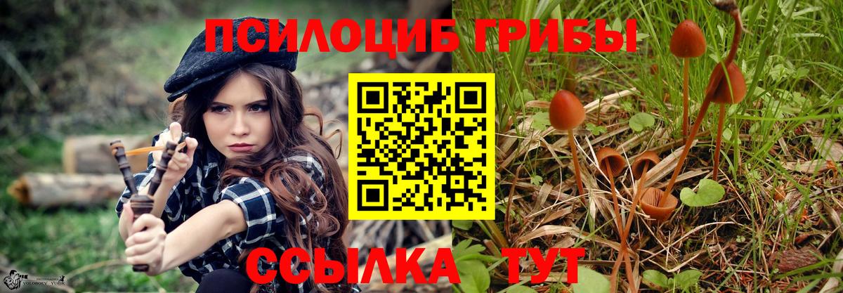 Псилоцибиновые грибы Psilocybine cubensis Арзамас