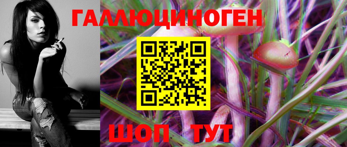Псилоцибиновые грибы Magic Shrooms  Вход с VPN  Арзамас  Псилоцибиновые грибы Cubensis 
